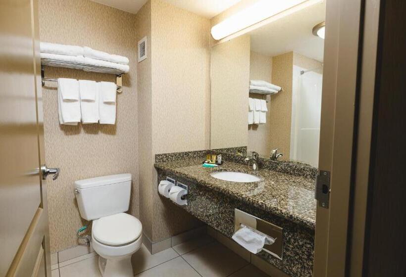 Стандартный Номер Кровать Кинг, Redwood Inn & Suites