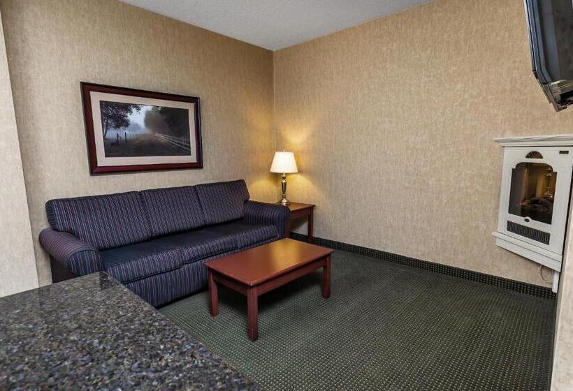 Люкс Кровать Кинг, Redwood Inn & Suites