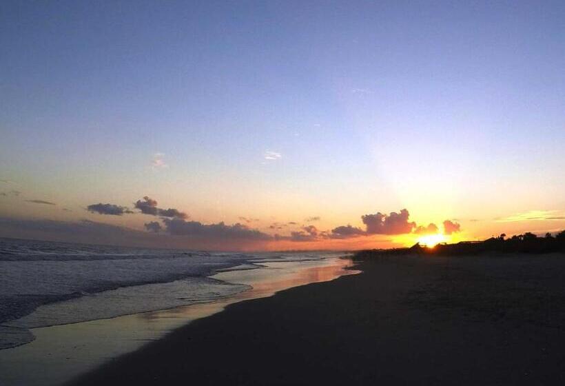 带1个卧室的带海景的公寓, Magnificent Views From This 8th Floor 2br 2ba In North Myrtle Beach