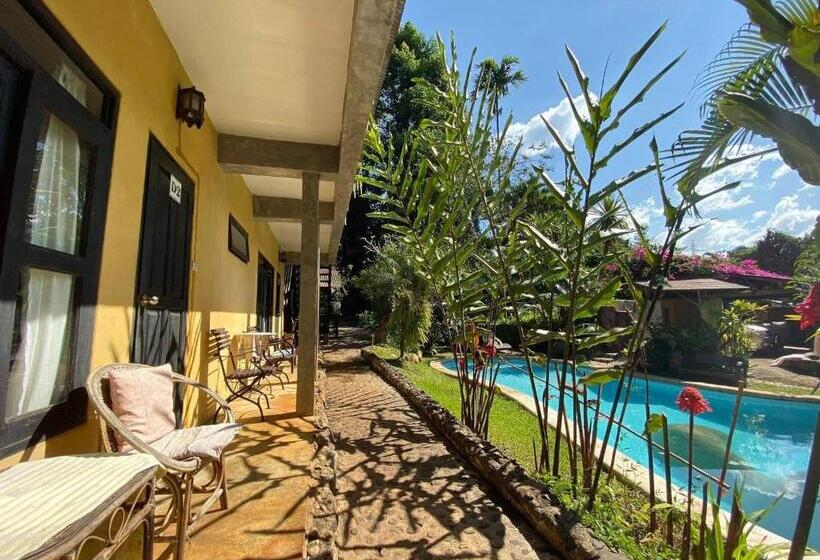 Номер Стандарт Вид на Бассейн, Little Eden Guesthouse