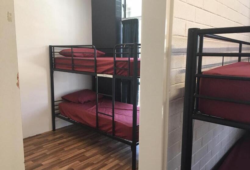 공동 객실, Youth Shack Backpackers Darwin