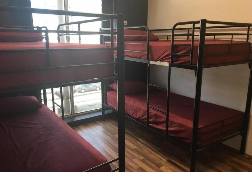 공동 객실, Youth Shack Backpackers Darwin