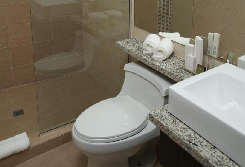 Полулюкс Президентский, Aranjuez Hotel & Suites