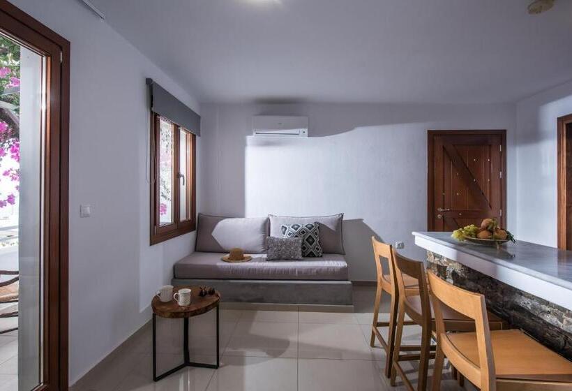 استودیو استاندارد با تراس, Villa Diktynna
