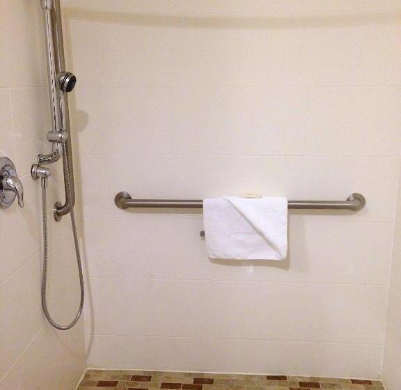 带大床的标准间, Comfort Inn & Suites Brattleboro I 91