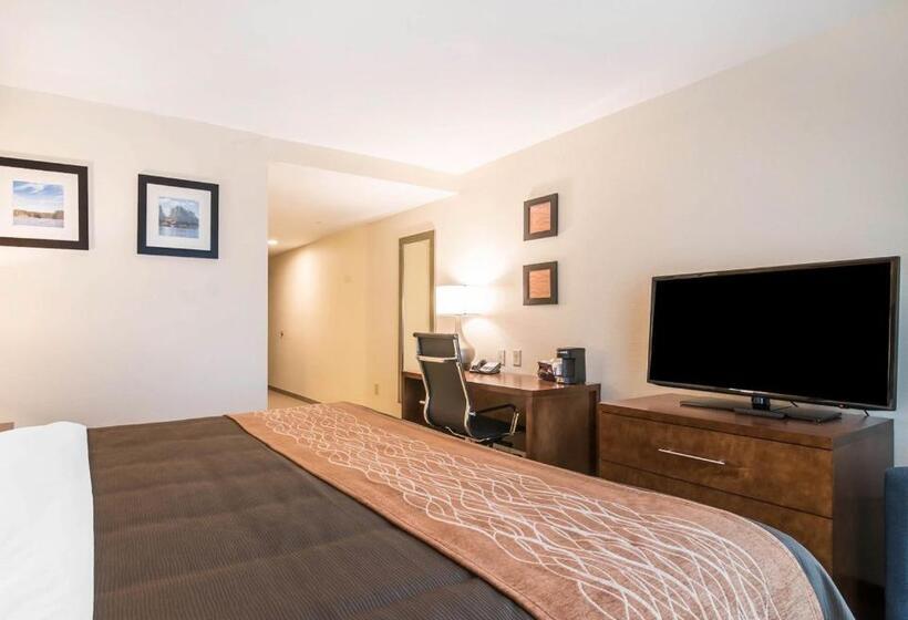 带大床的标准间, Comfort Inn & Suites Brattleboro I 91