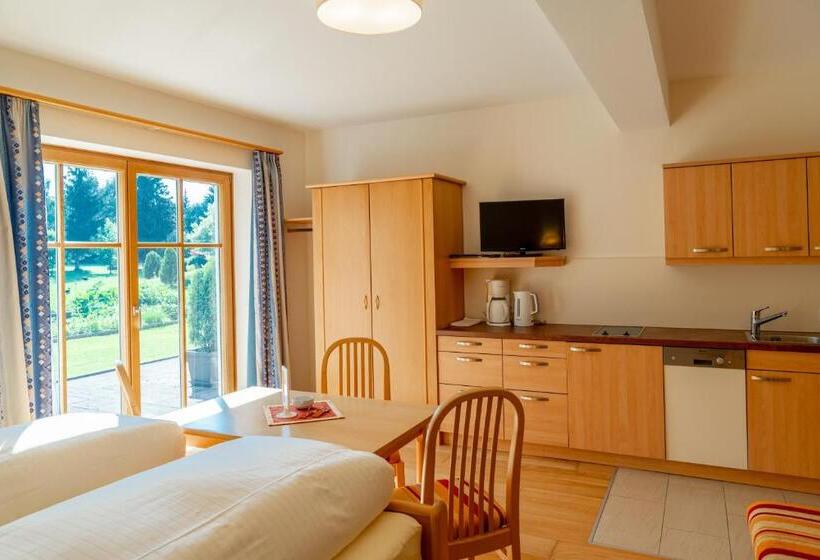 Студия Стандарт, Ferienresidence Vital