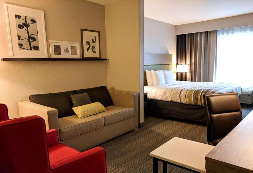 Студио Стандарт Кровать Кинг, Comfort Inn & Suites