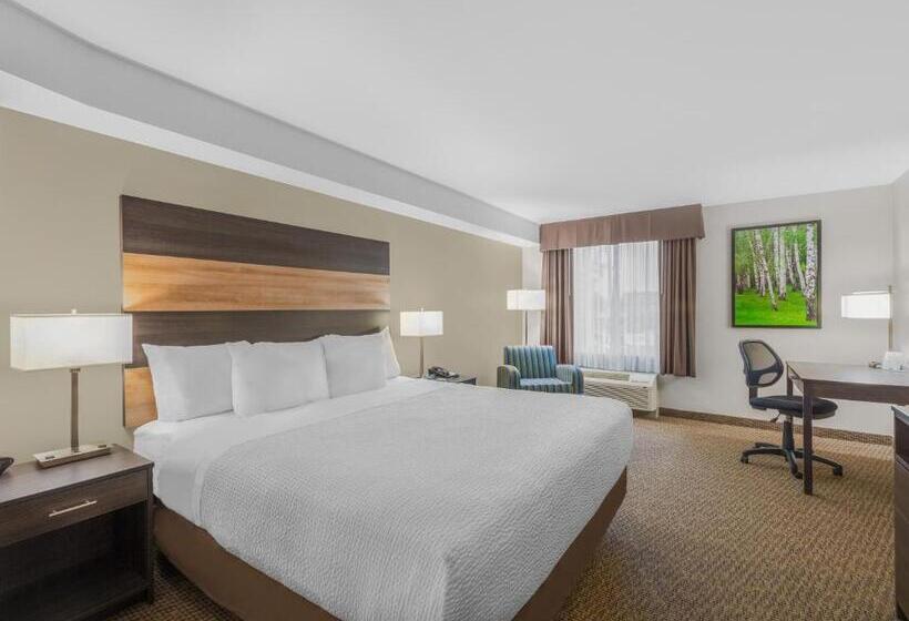 带大床的标准间, Days Inn & Suites By Wyndham Lindsay
