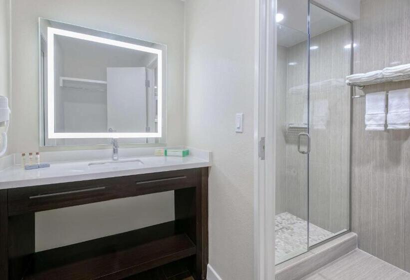 Люкс Deluxe Кровать Кинг, Hawthorn Extended Stay By Wyndham Mcallen