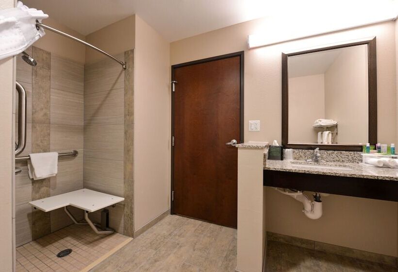 장애인을 위한 스탠다드 룸, Holiday Inn Express & Suites Williams, An Ihg