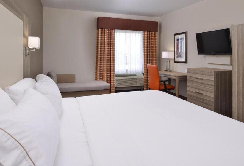 스탠다드 룸 킹사이즈 침대, Holiday Inn Express & Suites Williams, An Ihg