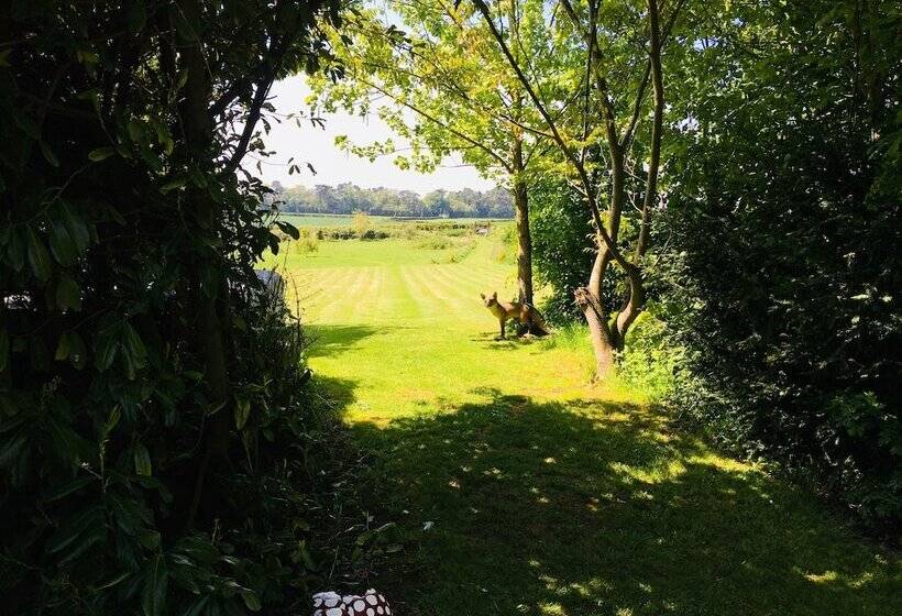 Номер Стандарт, Wolds Village