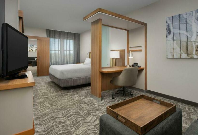Студия Стандарт, Springhill Suites By Marriott Tuscaloosa