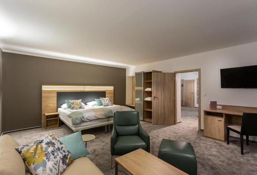 带1个卧室的高级公寓, Wine Wellness Hotel Amande Hustopeče