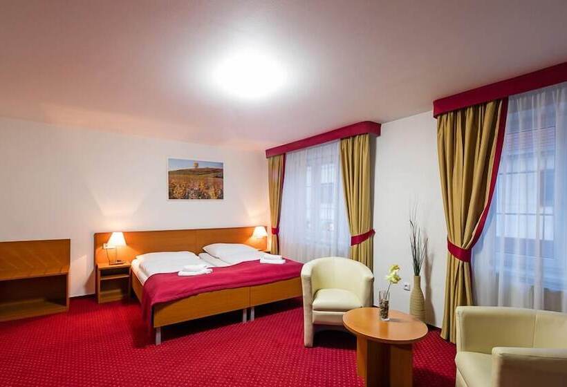 高级大房间, Wine Wellness Hotel Amande Hustopeče