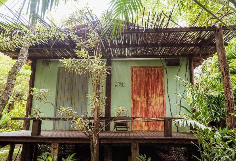 بانگلوی استاندارد, Butterfly House Bahia