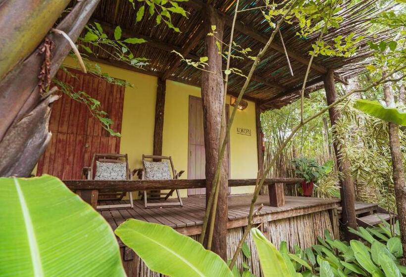 بانگلوی استاندارد, Butterfly House Bahia