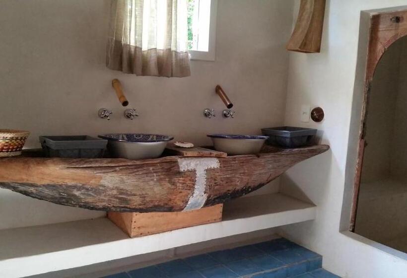 بانگلوی استاندارد, Butterfly House Bahia