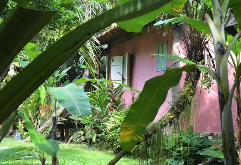 بانگلوی استاندارد, Butterfly House Bahia