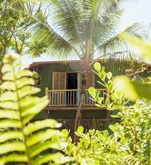 سوییت, Butterfly House Bahia