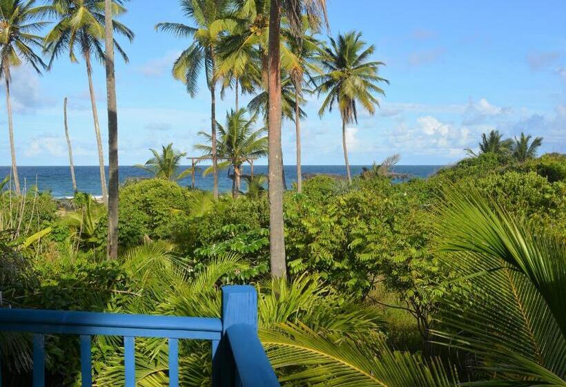 سوییت, Butterfly House Bahia