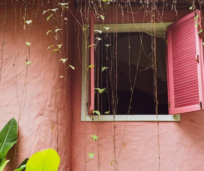 بانگلوی لوکس, Butterfly House Bahia
