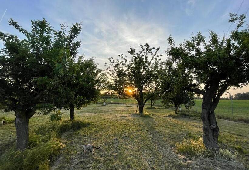 خانه 2 خوابه, Malamù Bnb Eventi