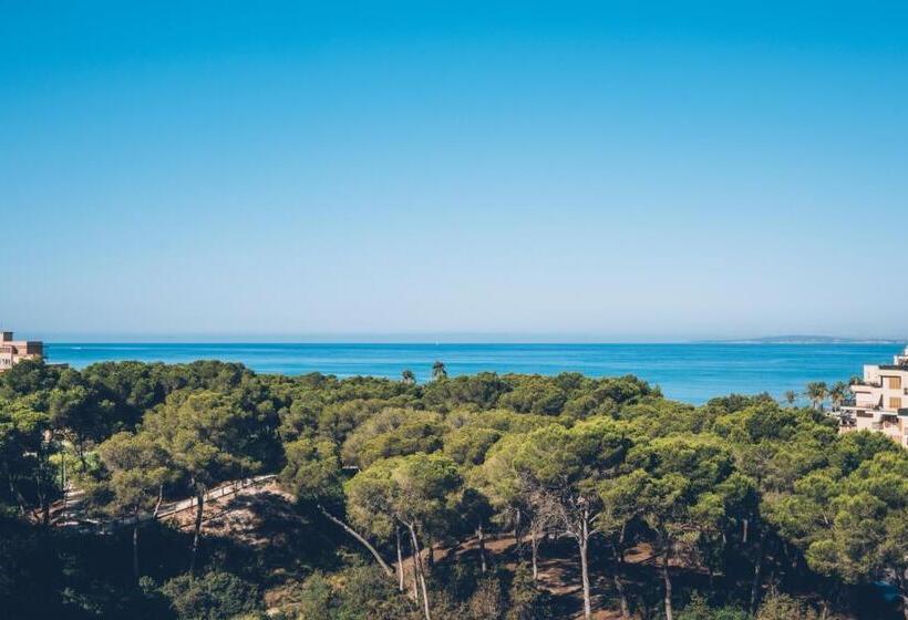 اتاق استاندارد با چشم‌انداز دریا, Iberostar Selection Llaut Palma - Adults Only