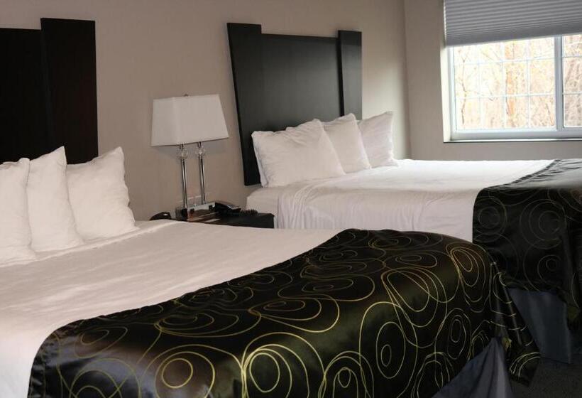 Номер Стандарт, Okoboji Inn & Suites