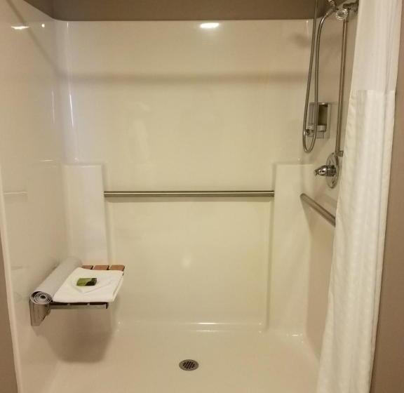 Номер Стандарт Кровать Кинг Адаптированный для Инвалидов, Okoboji Inn & Suites