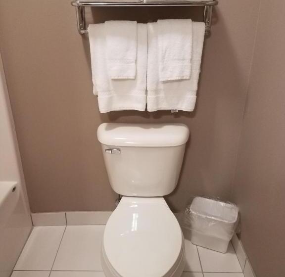 Люкс Кровать Кинг, Okoboji Inn & Suites