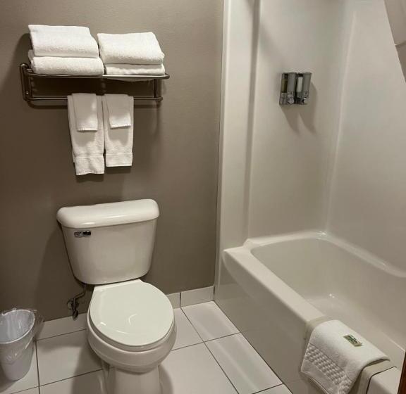 Люкс с гидромассажем, Okoboji Inn & Suites