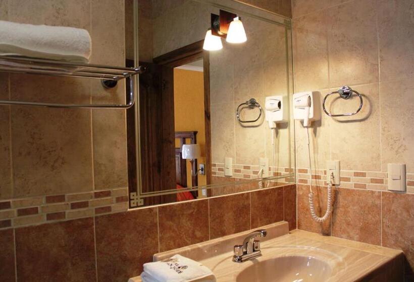 اتاق استاندارد با تخت بزرگ, San Jose