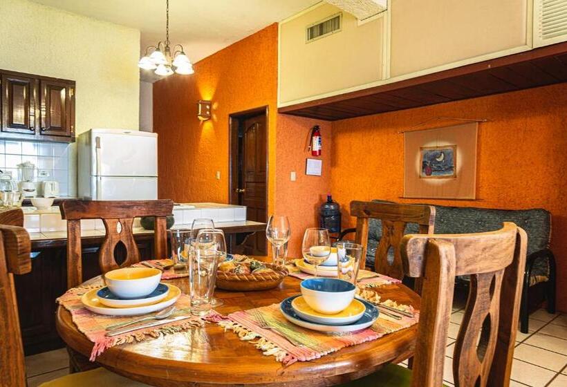 آپارتمان 2 خوابه با چشم‌انداز دریا, Las Gaviotas Condo Hotel La Paz Bcs