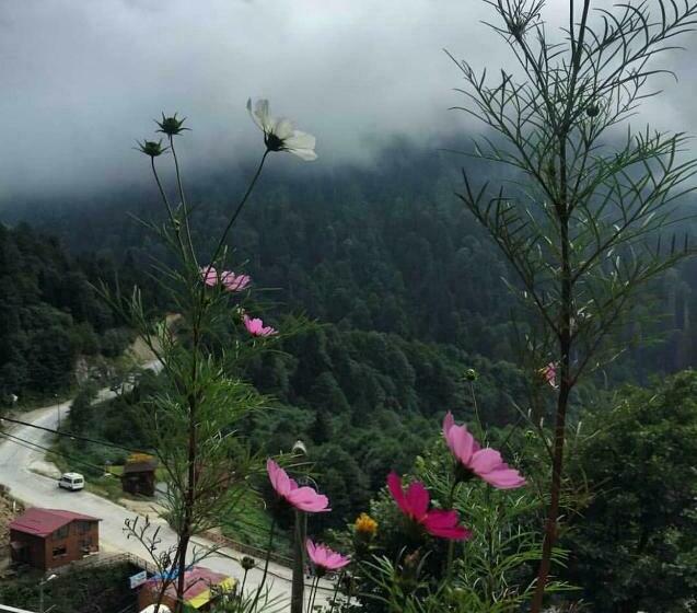 اتاق خانوادگی, Ayder İmamoğlu Apart Otel