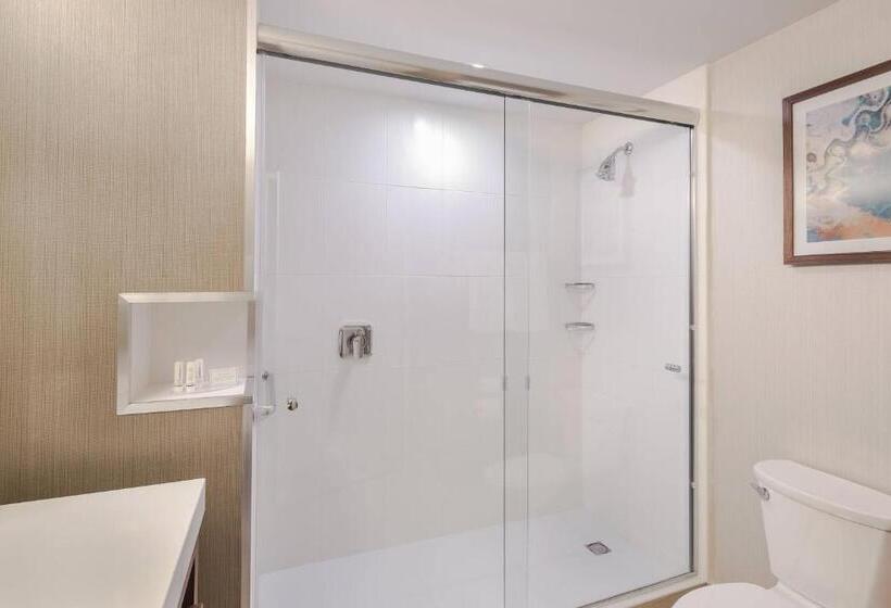 スタンダードルーム, Courtyard By Marriott Saltillo