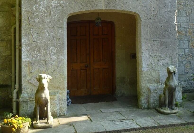 Номер Стандарт, Lisle Combe