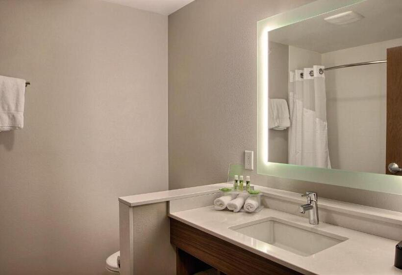 Номер Стандарт, Holiday Inn Express & Suites Fond Du Lac, An Ihg