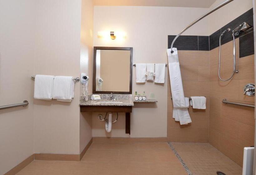 Номер Стандарт Кровать Кинг Адаптированный для Инвалидов, Holiday Inn Express & Suites Globe, An Ihg