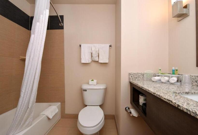 Люкс, Holiday Inn Express & Suites Globe, An Ihg