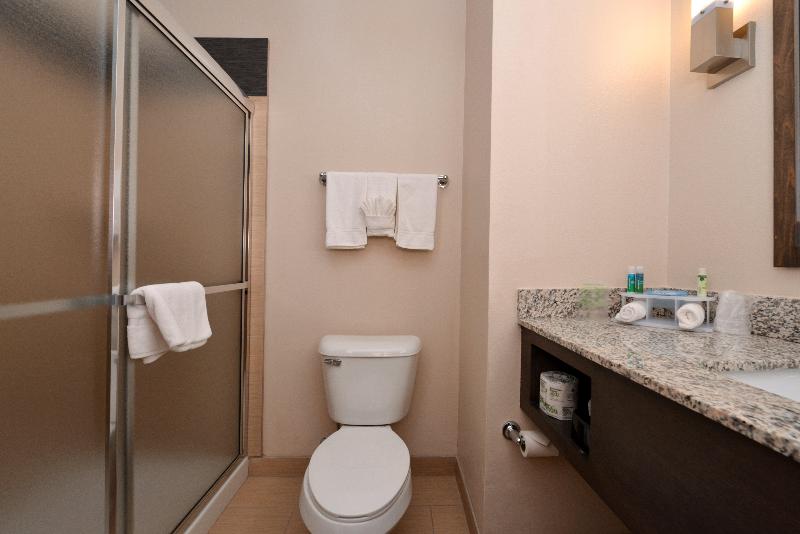 스탠다드 룸 킹사이즈 침대, Holiday Inn Express & Suites Globe, An Ihg