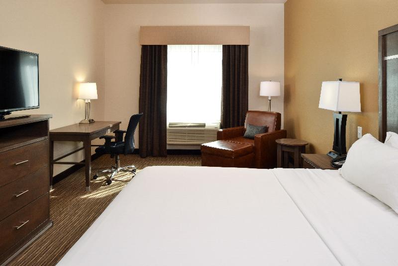 스탠다드 룸 킹사이즈 침대, Holiday Inn Express & Suites Globe, An Ihg