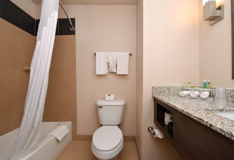 Люкс, Holiday Inn Express & Suites Globe, An Ihg