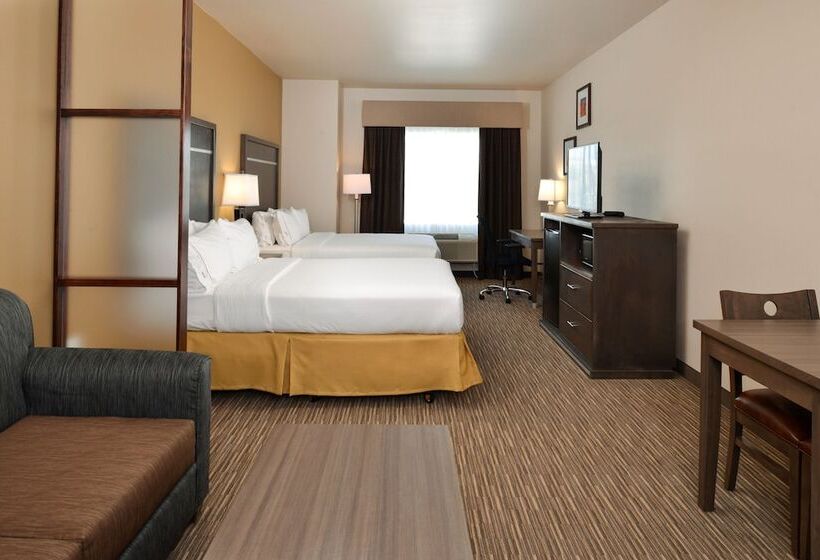 Suíte para Deficientes Físicos, Holiday Inn Express & Suites Globe, An Ihg