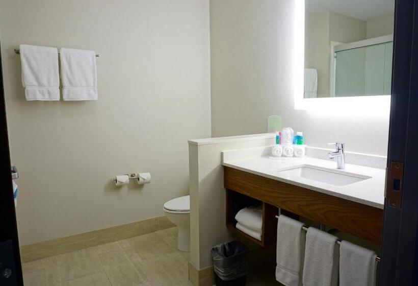 스탠다드 룸, Holiday Inn Express & Suites Omaha   Millard Area, An Ihg