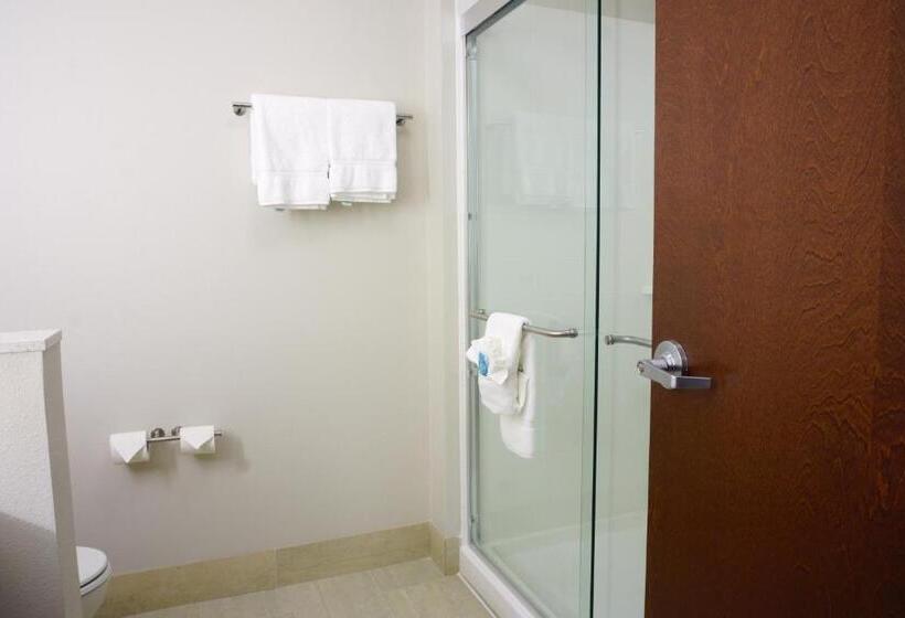 스위트 킹사이즈 침대, Holiday Inn Express & Suites Omaha   Millard Area, An Ihg