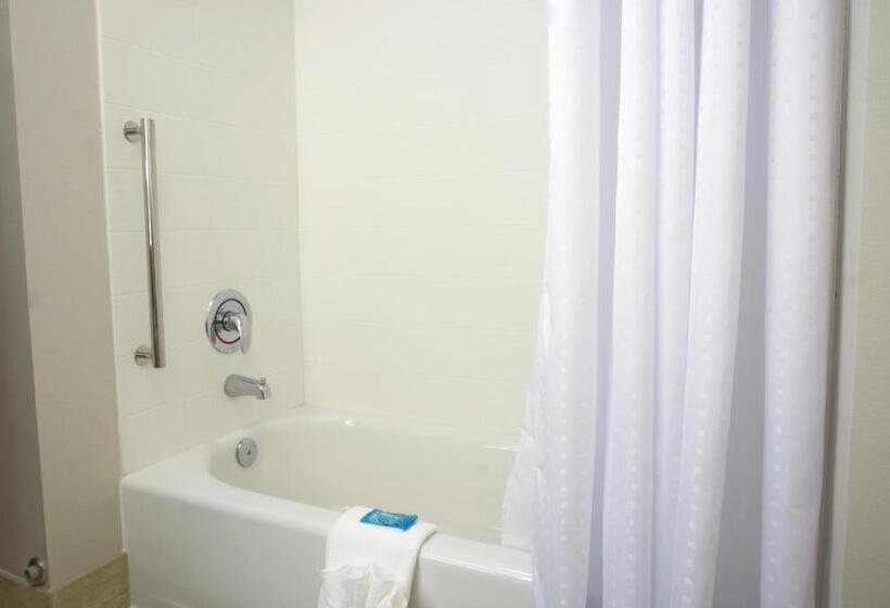 장애인을 위한 스탠다드 룸, Holiday Inn Express & Suites Omaha   Millard Area, An Ihg