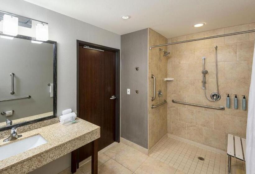 장애인을 위한 킹사이즈 침대 스탠다드 룸, Courtyard By Marriott Abilene Northeast