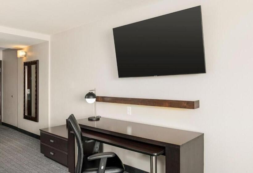 장애인을 위한 킹사이즈 침대 스탠다드 룸, Courtyard By Marriott Abilene Northeast